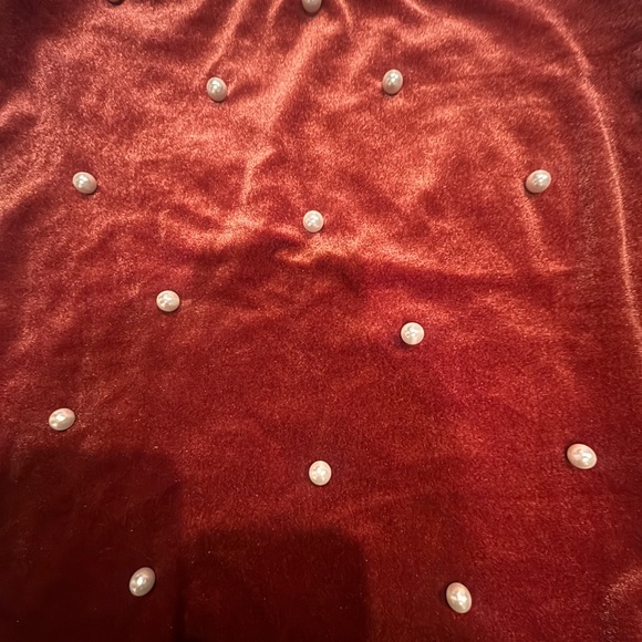 Rust colored Velvet Mini Skirt with Pearl Details - Picture 4 of 6